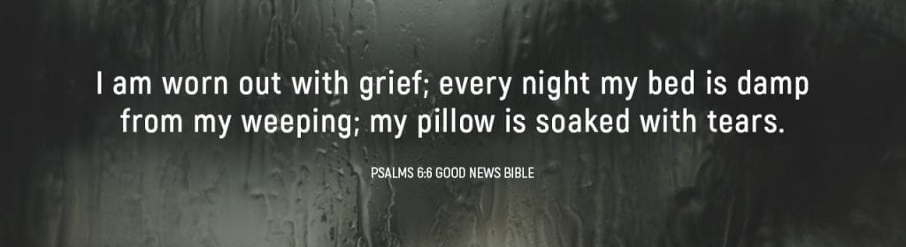 Verse Psalms 6:6 Good News Bible
